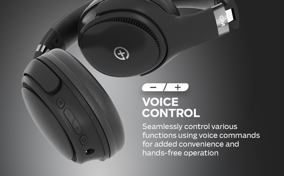 Black Headphone