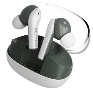 ACwO Dwots 535-V2 in Ear Truly Wireless Earbuds, Made in
