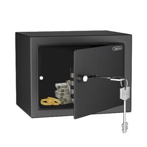 Lifelong 8.6L Home Safe Locker with Key | Security Box for